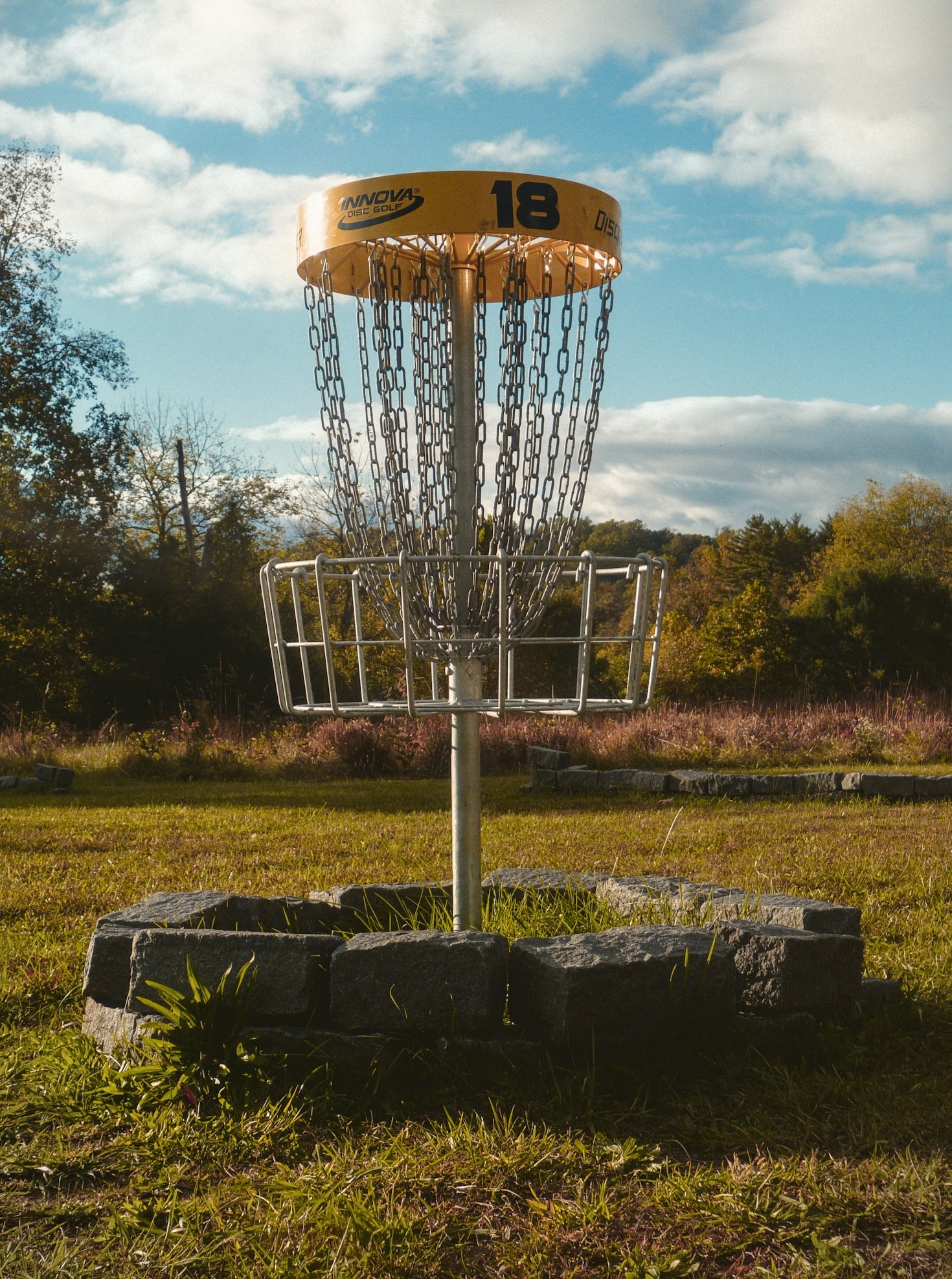 Tips to Improve Your Disc Golf Game Today
