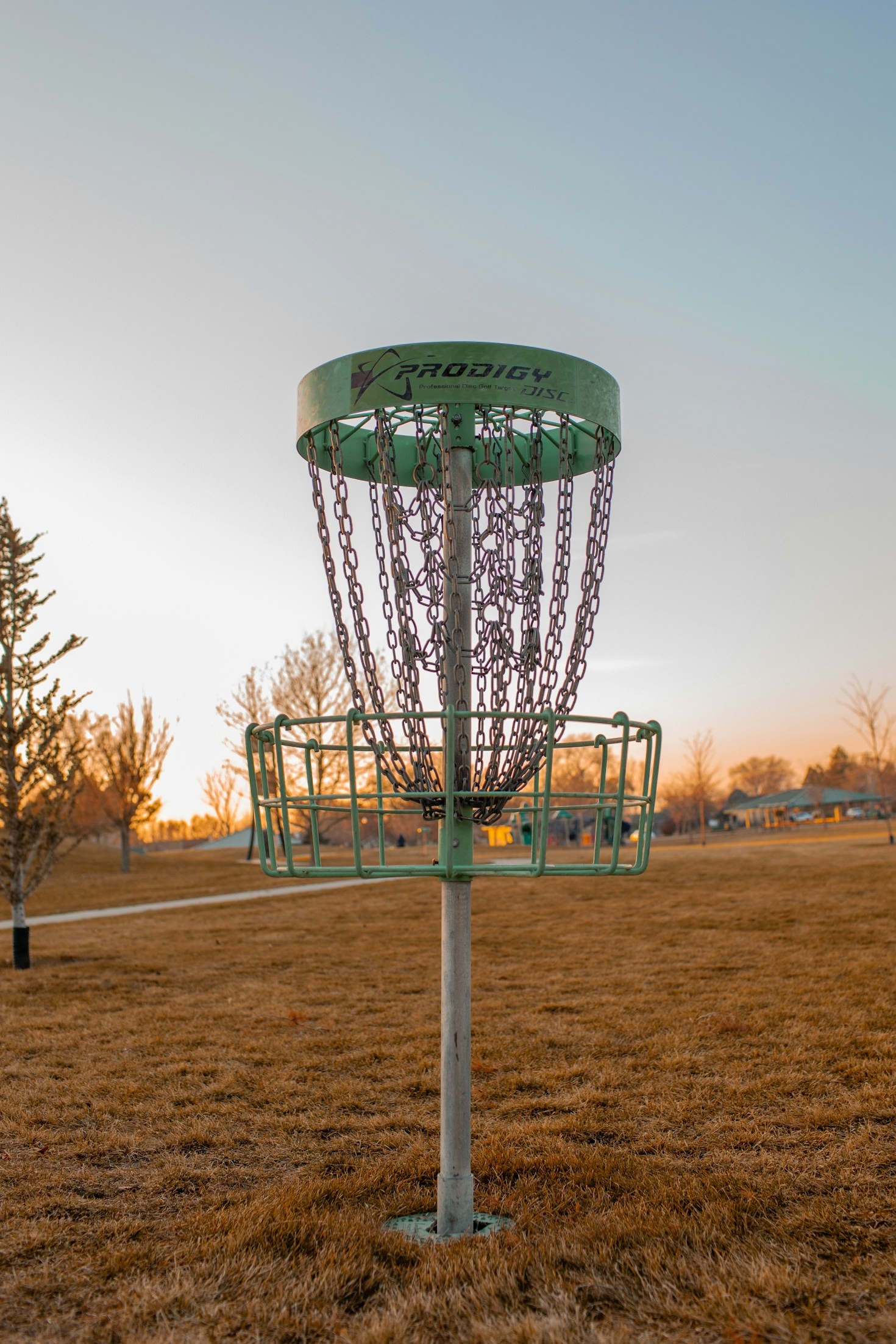 Why Disc Golf is the Perfect Outdoor Sport