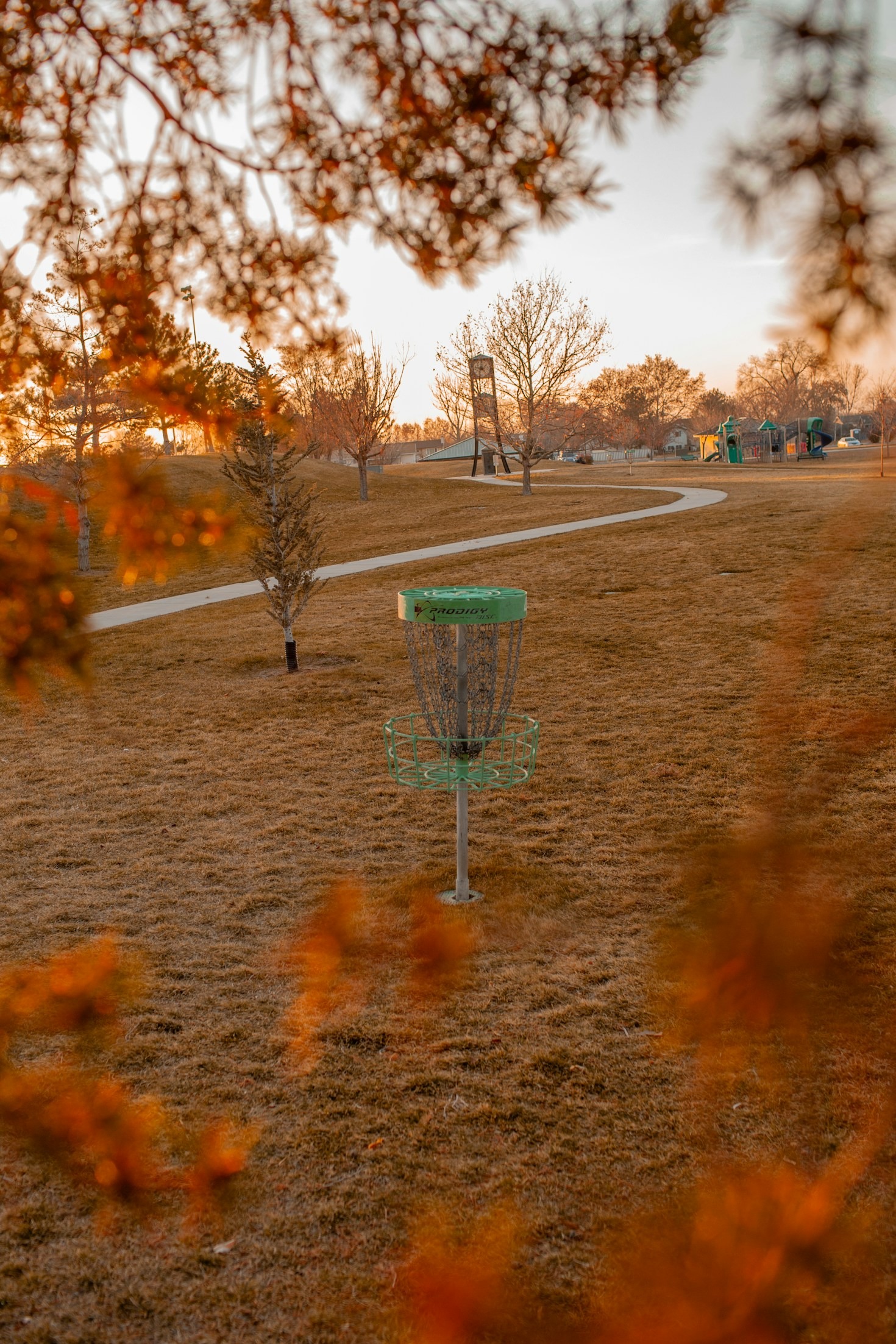 How BG Disc Golf Store Supports Bulgarian Disc Golfers